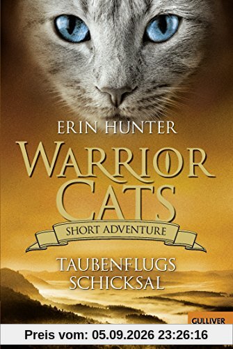 Warrior Cats - Short Adventure - Taubenflugs Schicksal