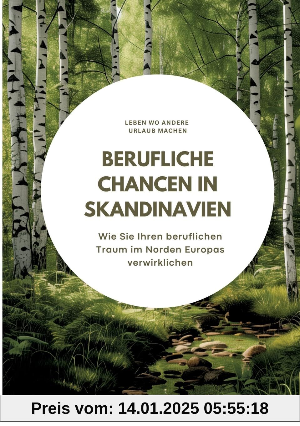 Berufliche Chancen in Skandinavien: Wie Sie Ihren beruflichen Traum im Norden Europas verwirklichen