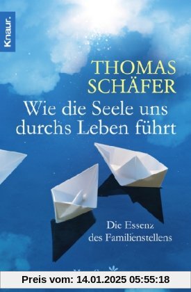 Wie die Seele uns durchs Leben führt: Die Essenz des Familien-Stellens