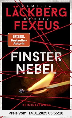 Finsternebel: Kriminalroman | Der Nr.-1-Bestseller aus Schweden (Die Dabiri-Walder-Trilogie, Band 2)