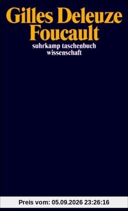 Foucault (suhrkamp taschenbuch wissenschaft)