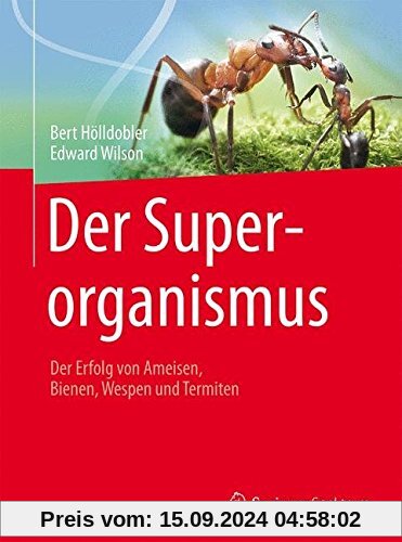 Der Superorganismus: Der Erfolg von Ameisen, Bienen, Wespen und Termiten