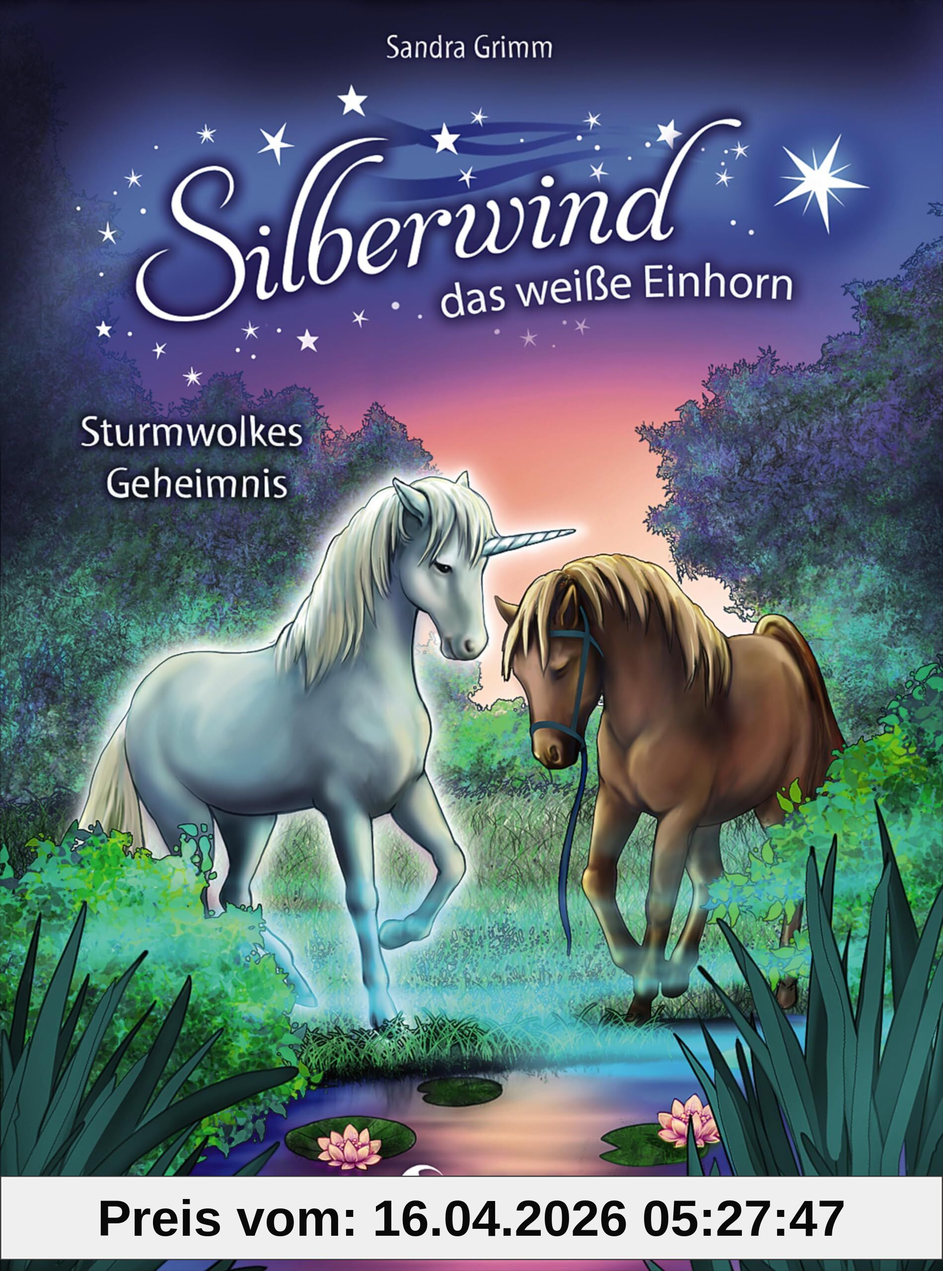 Silberwind, das weiße Einhorn - Sturmwolkes Geheimnis