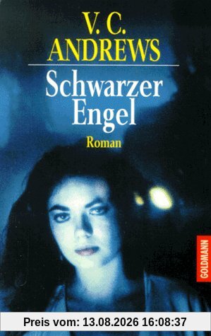 Schwarzer Engel. Die Casteel-Saga Band 2.: BD 2