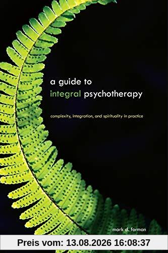 A Guide to Integral Psychotherapy: Complexity, Integration, and Spirituality in Practice (SUNY series in Integral Theory)