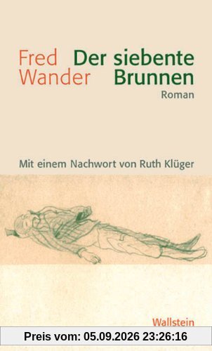 Der siebente Brunnen. Roman