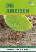 Die Ameisen - Selbstlos bis in den Tod