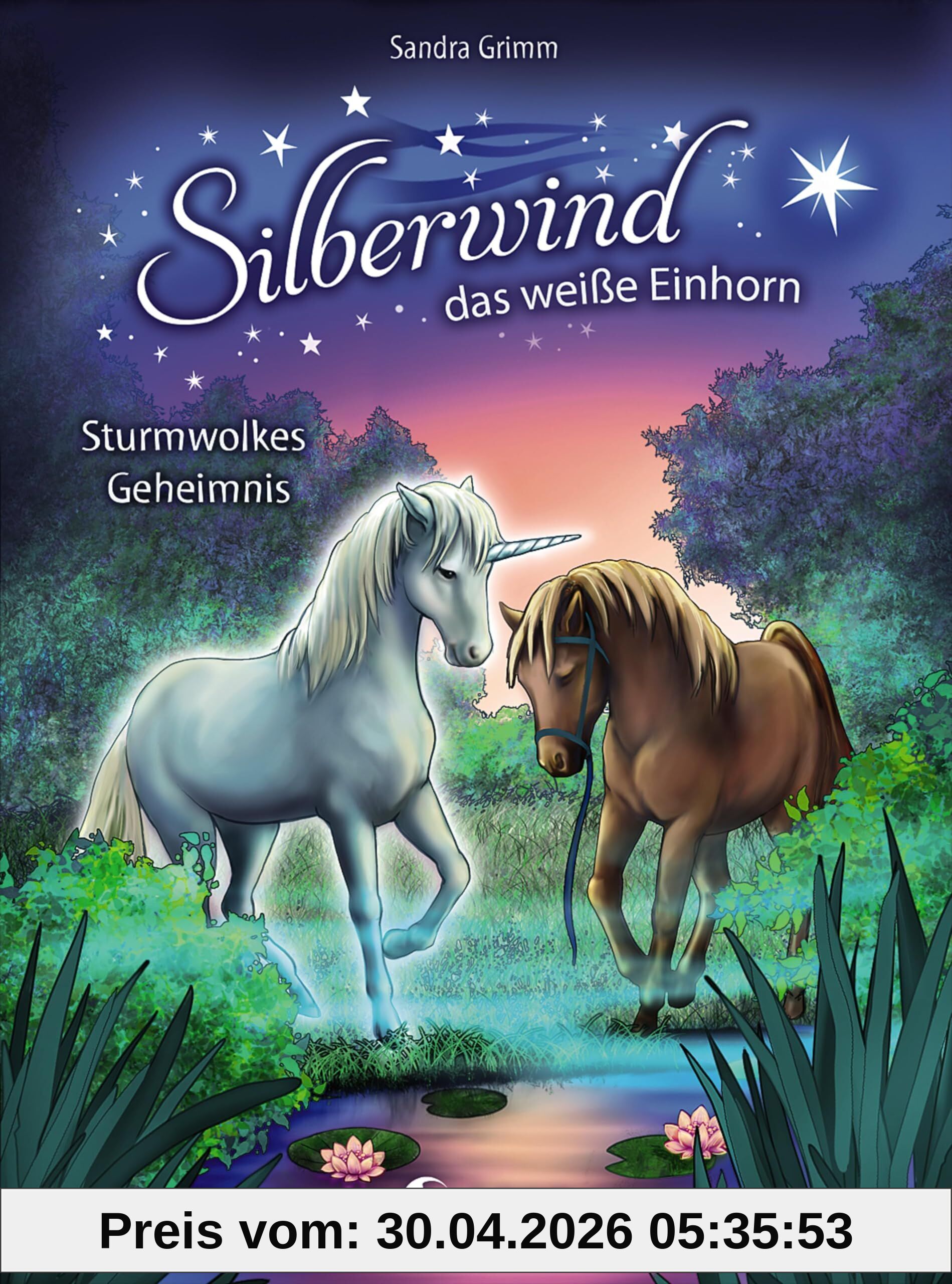 Silberwind, das weiße Einhorn - Sturmwolkes Geheimnis