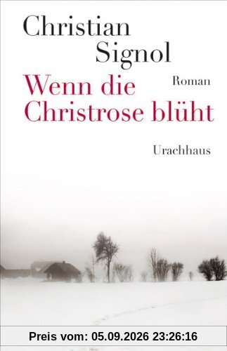 Wenn die Christrose blüht