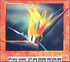 Dankeschön, m. Audio-CD