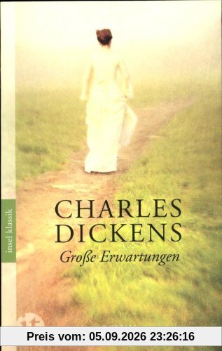 Große Erwartungen: Roman (insel taschenbuch)