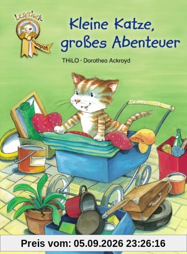 Kleine Katze, großes Abenteuer