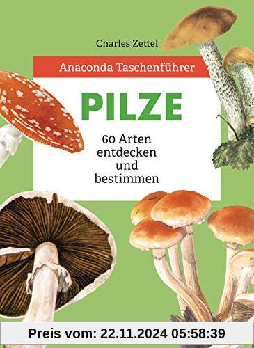 Anaconda Taschenführer Pilze: 59 Arten entdecken und bestimmen