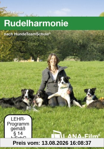 Rudelharmonie nach HundeTeamSchule: Führen eines Hunderudels