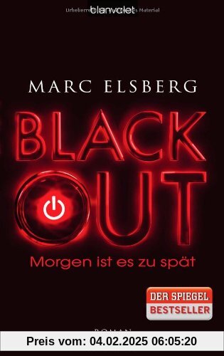 BLACKOUT - Morgen ist es zu spät: Roman