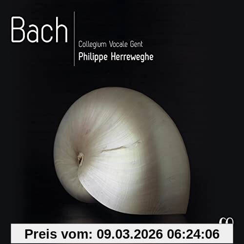 Collegium Vocale Gent Bach