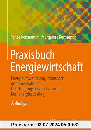 Praxisbuch Energiewirtschaft: Energieumwandlung, -transport und -beschaffung, Übertragungsnetzausbau und Kernenergieauss