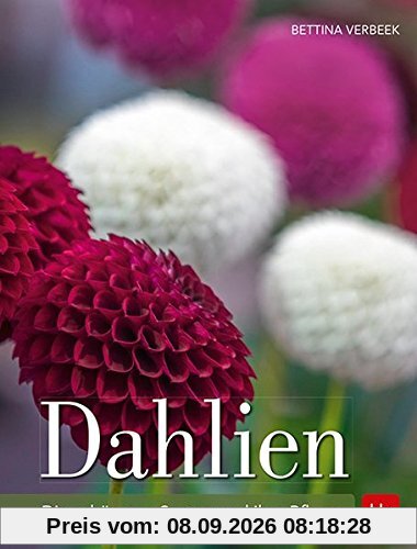 Dahlien: Die schönsten Sorten und ihre Pflege