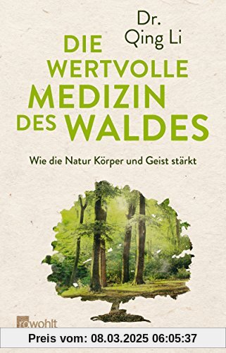 Die wertvolle Medizin des Waldes: Wie die Natur Körper und Geist stärkt