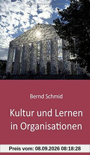 Kultur und Lernen in Organisationen: Ein Lesebuch von Bernd Schmid 2020