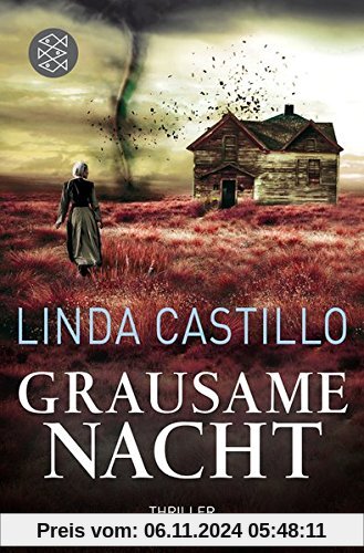 Grausame Nacht: Thriller