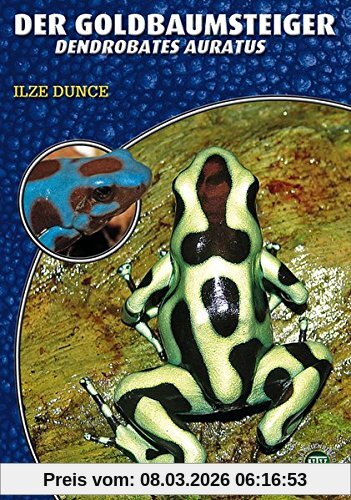 Ilze Dunce Der Goldbaumsteiger, Dendrobates Auratus