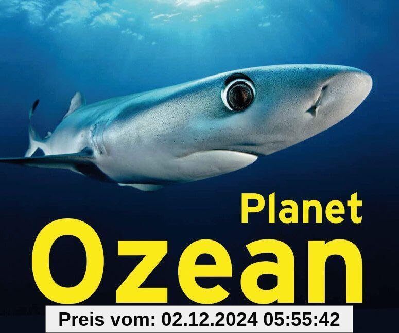 Planet Ozean: Ausstellungskatalog