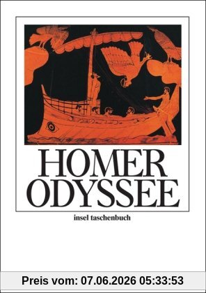 Odyssee (insel taschenbuch)