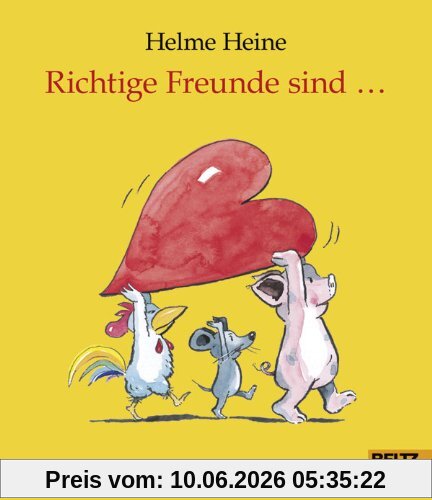 Richtige Freunde sind ...: Vierfarbiges Geschenkbuch