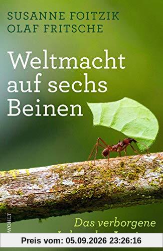 Weltmacht auf sechs Beinen: Das verborgene Leben der Ameisen
