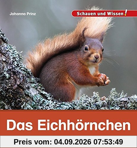 Das Eichhörnchen: Schauen und Wissen!