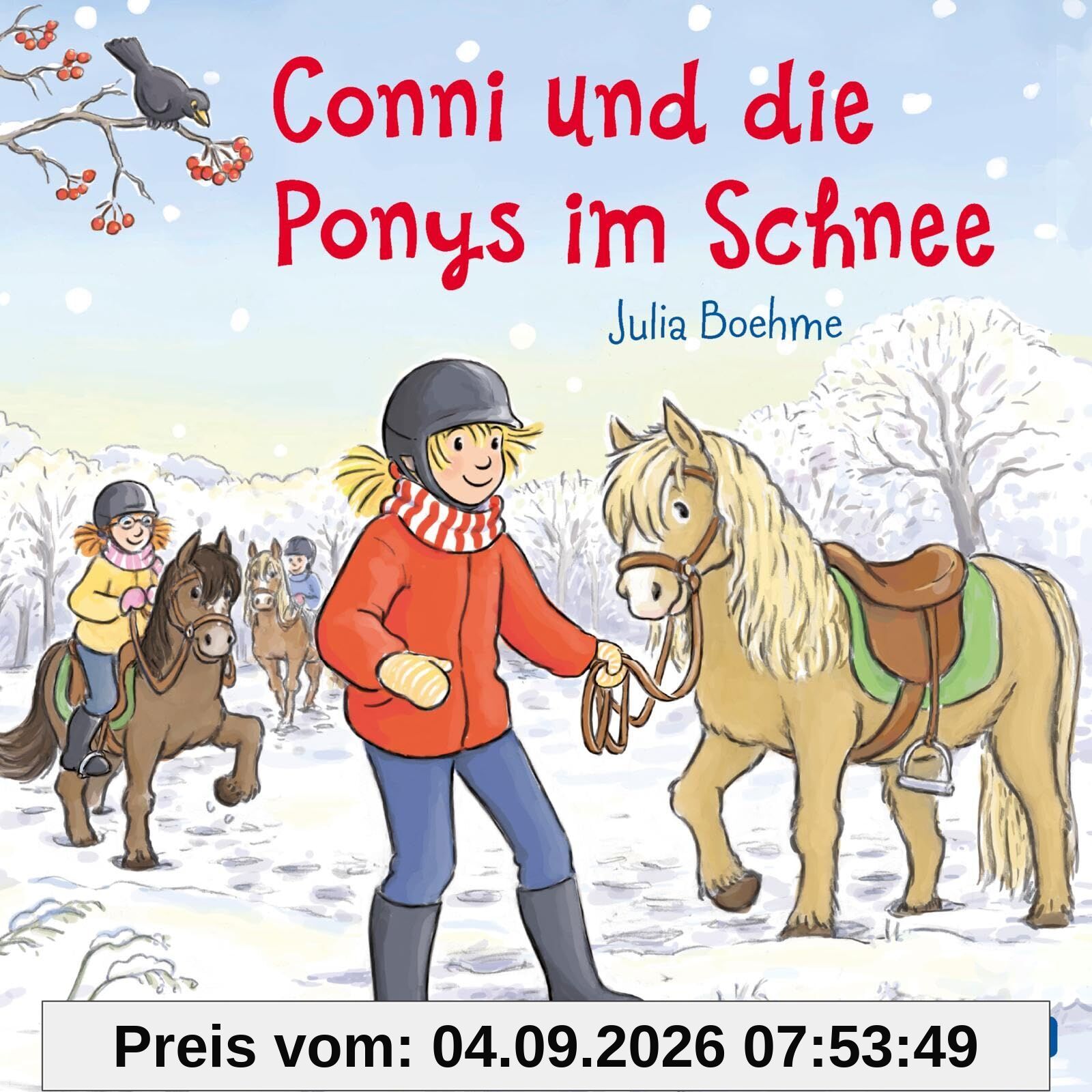 Conni und die Ponys im Schnee