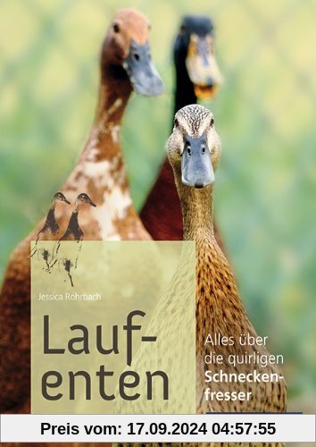 Laufenten: Alles über die quirligen Schneckenfresser