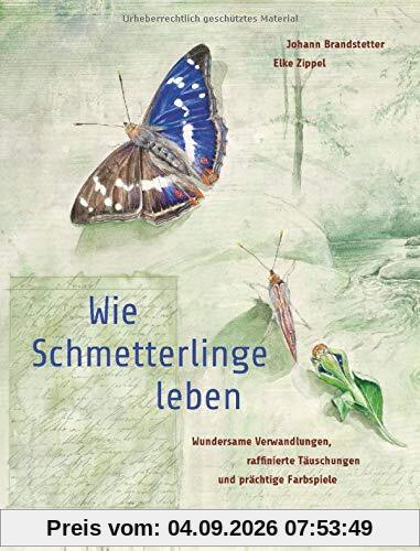 Wie Schmetterlinge leben: Wundersame Verwandlungen, raffinierte Täuschungen und prächtige Farbspiele