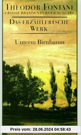 Das erzählerische Werk, 20 Bde., Bd.8, Unterm Birnbaum (Fontane GBA Das erzählerische Werk, Band 8)