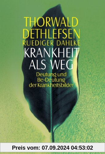 Krankheit als Weg: Deutung und Be-Deutung der Krankheitsbilder