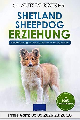 Shetland Sheepdog Erziehung: Hundeerziehung für Deinen Shetland Sheepdog Welpen