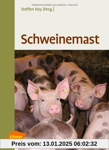 Schweinemast