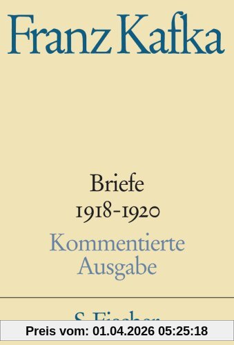 Briefe 1918-1920: Band 4