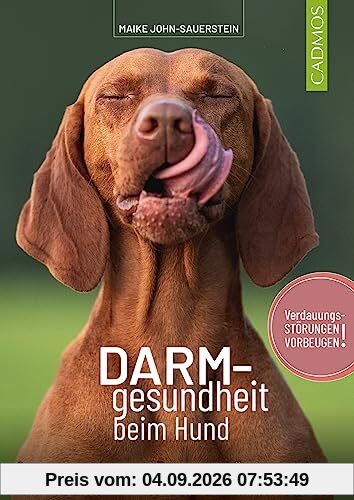 Darmgesundheit beim Hund: Symptome erkennen, Zusammenhänge verstehen