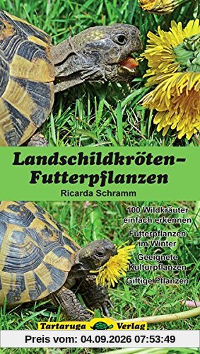Landschildkröten-Futterpflanzen