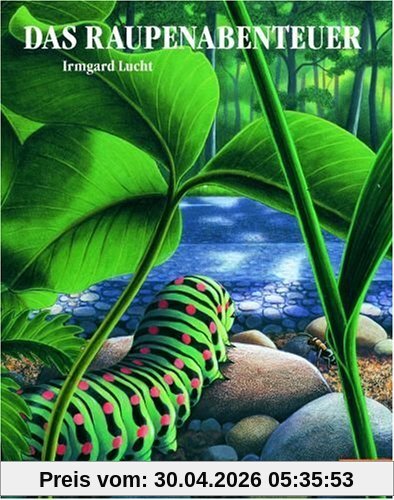 Das Raupenabenteuer: Bilderbuch (MINIMAX)