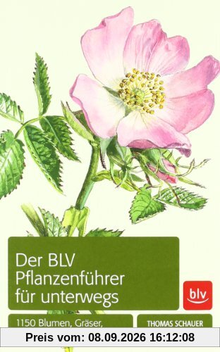 Der BLV Pflanzenführer für unterwegs: 1150 Blumen, Gräser, Bäume und Sträucher