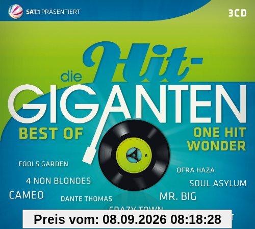 Die Hit Giganten-Best of One Hit Wonder