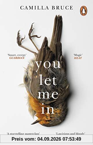 You Let Me In: The acclaimed, unsettling novel of haunted love, revenge and the nature of truth