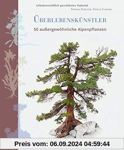 Überlebenskünstler: 50 außergewöhnliche Alpenpflanzen