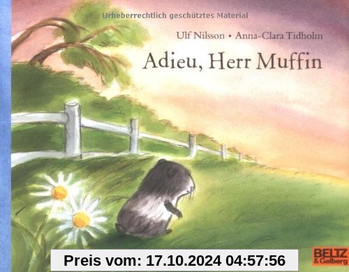 Adieu, Herr Muffin: Vierfarbiges Bilderbuch (MINIMAX)