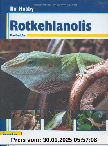 Ihr Hobby Rotkehlanolis