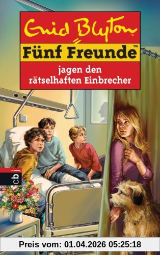 Fünf Freunde jagen den rätselhaften Einbrecher: Band 59