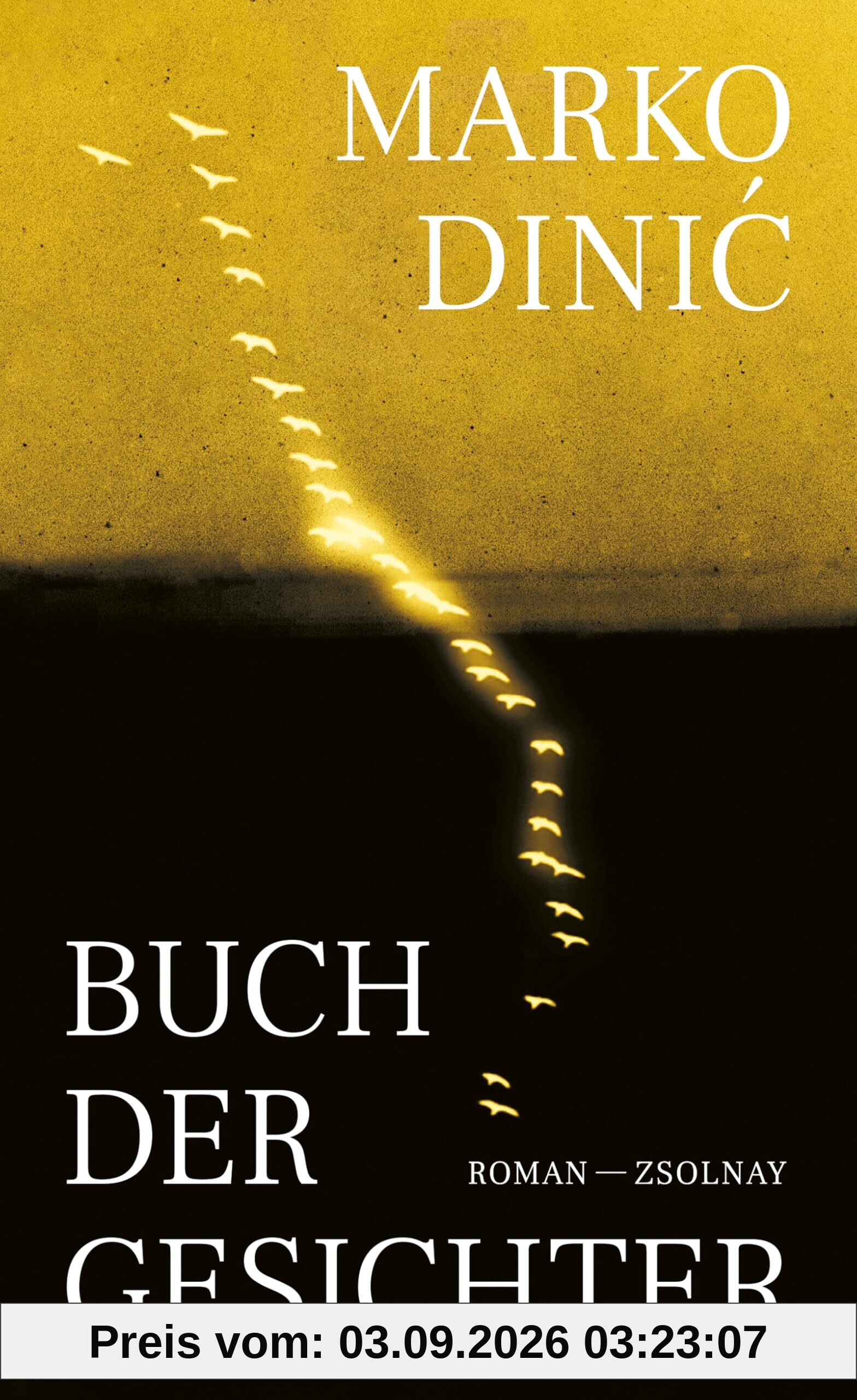 Buch der Gesichter: Roman